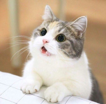 사진3