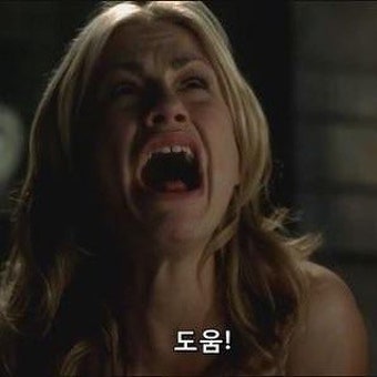 사진4